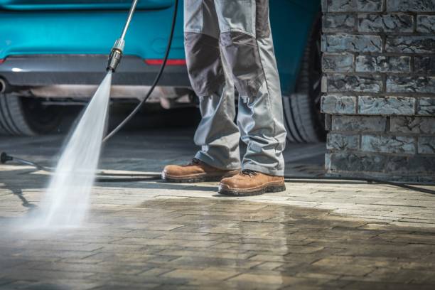 Best Driveway Pressure Washing  in Burton, SC