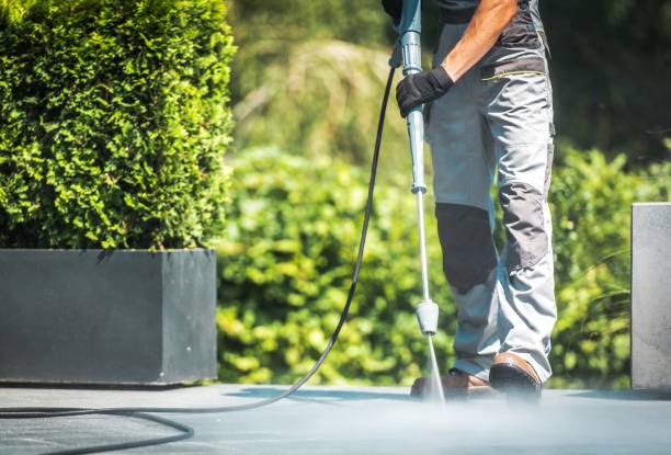 Best Roof Washing  in Burton, SC
