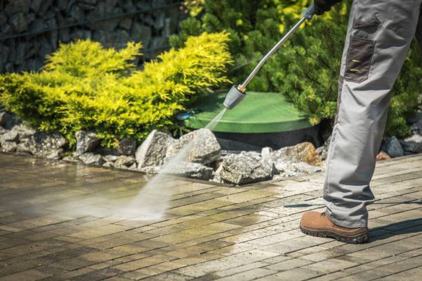 Best Driveway Pressure Washing  in Burton, SC