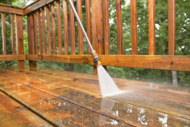 Best Solar Panel Cleaning  in Burton, SC